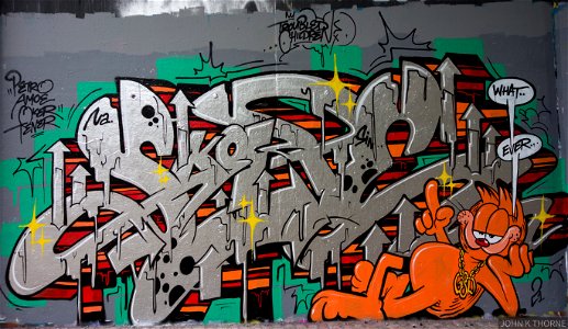 Garfield Whatever Graffiti