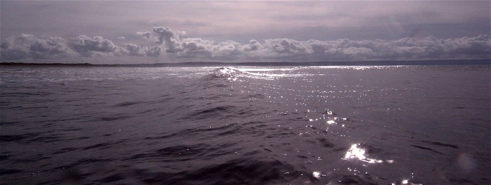 Crest of a Wave, Saunton Sands Beach, Braunton, North Devon, UK   13th Oct 2022  Sea&Sea DX-2G photo