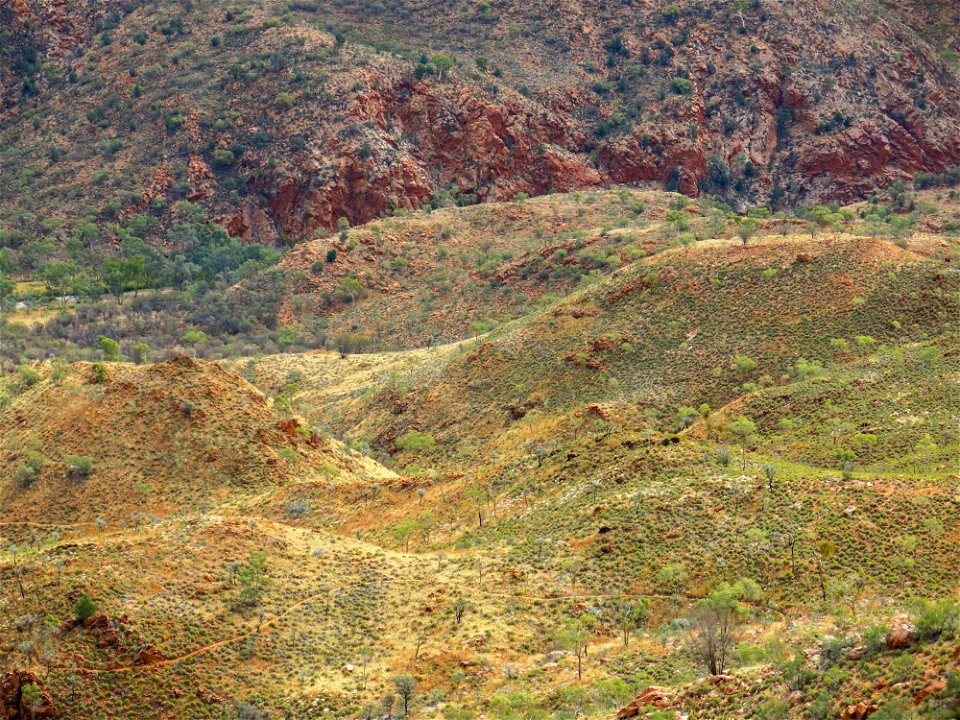 Between Stanley Chasm and Birthday Waterfall (section 4)