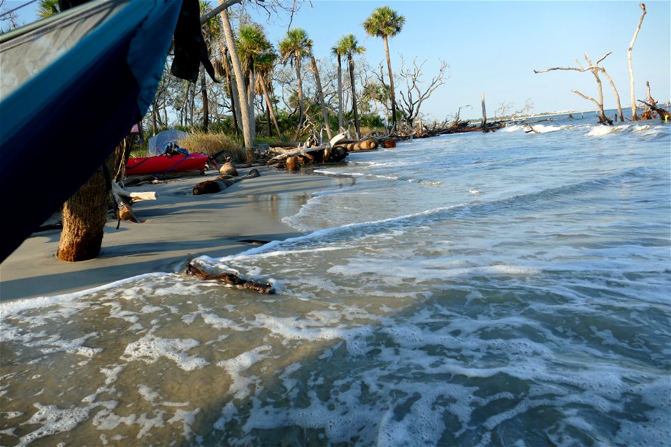 Hammock high tide-P1950046