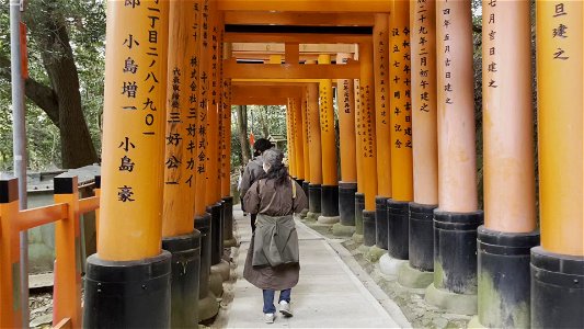 伏見稲荷/Fushimi Inari Shrine photo