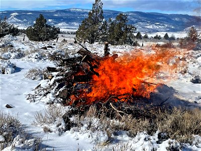 Twin Lakes RXBurn photo