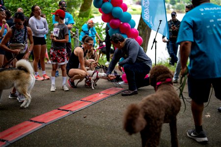 Seattle Furry 5K 20239