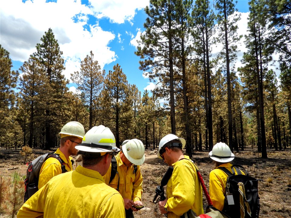 Burned Area Emergency Response media briefing