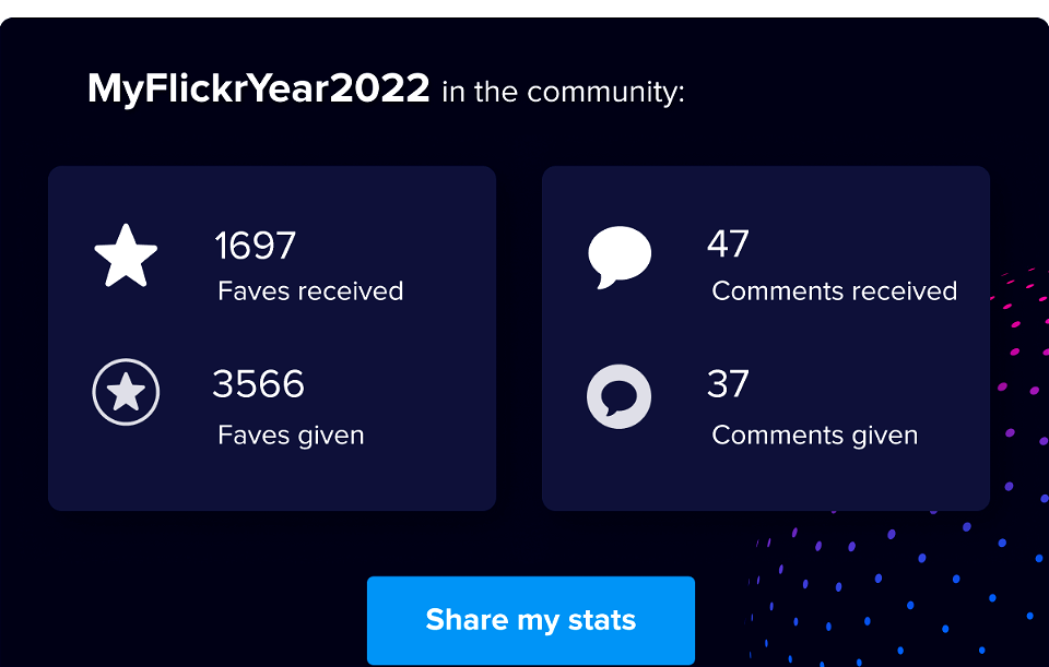 MyFlickrYear in the community.