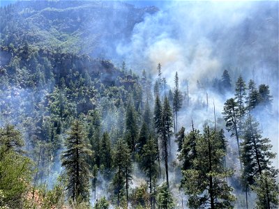 Miller Fire (2023)