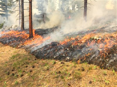 Spring Prescribed Burns