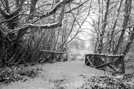 Park scene photo