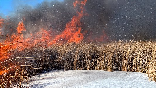 2021 USFWS Fire Employee Photo Contest Category: Fuels Management photo