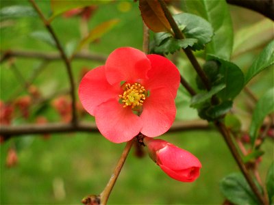 bisSfMaria2007_0415(024)