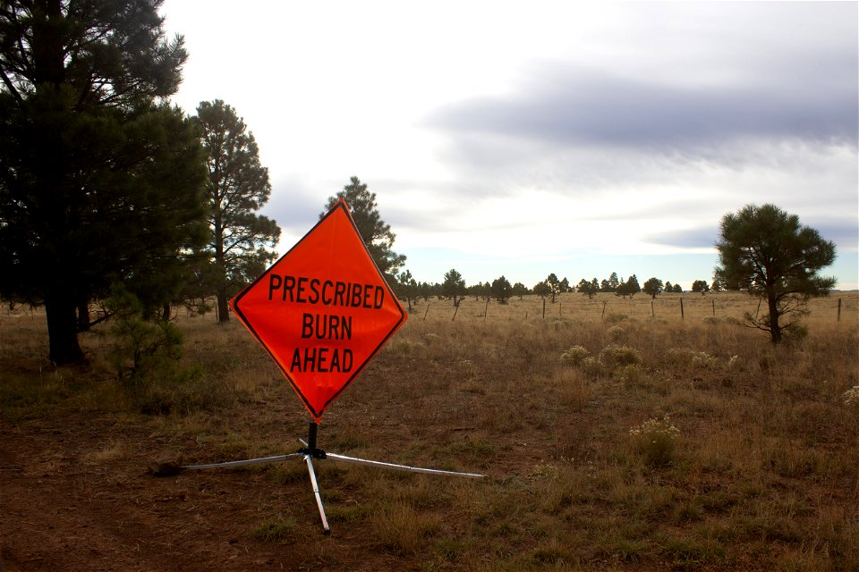 Flagstaff TREX 11/2/21