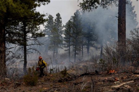 Ray Mesa Prescribed Burn Fall 2021