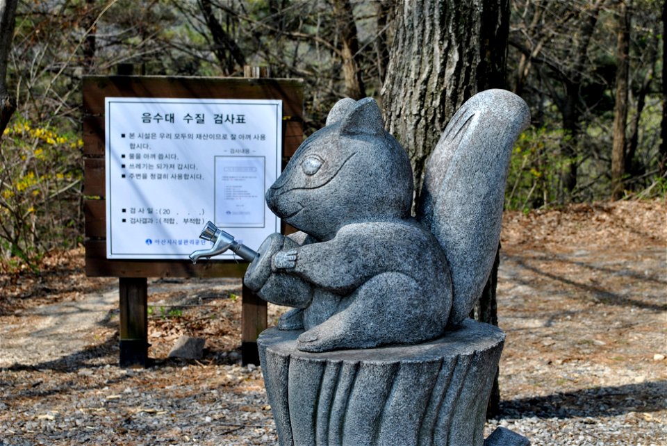 Younginsan Park Spring 2023