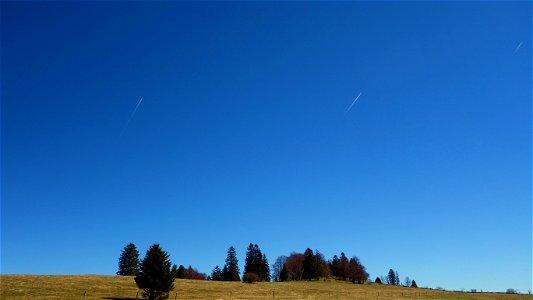 DSC09264