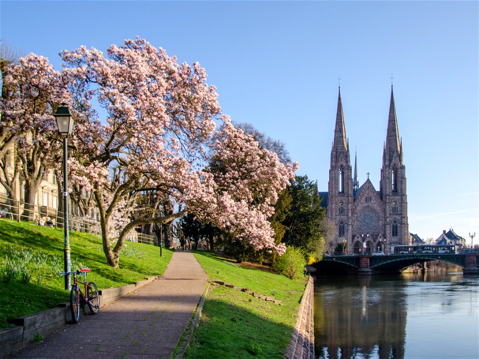 Le quai Koch à l'heure du Printemps photo