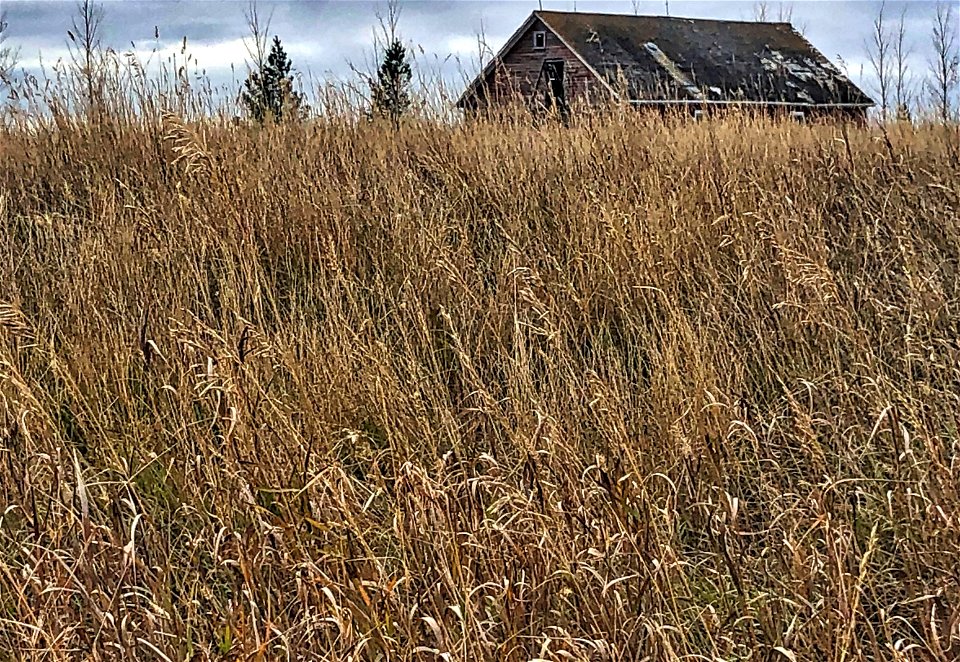2021/365/302 Over the Hills and Barn Away