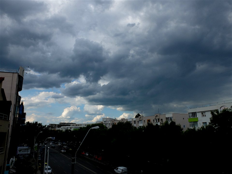 nori-sediu2015_0526_165005