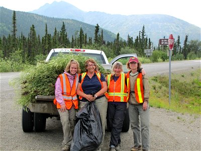 Truck loads of white sweetclover was pulled throughout the week. Feels good at the end of the day! From left, FWS Erin Julianus, Friends volunteers: Joyce Cox, Betty Siegel, and Michelle Michaud