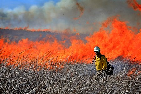 2022 BLM Fire Employee Photo Contest Category - Faces of Fire