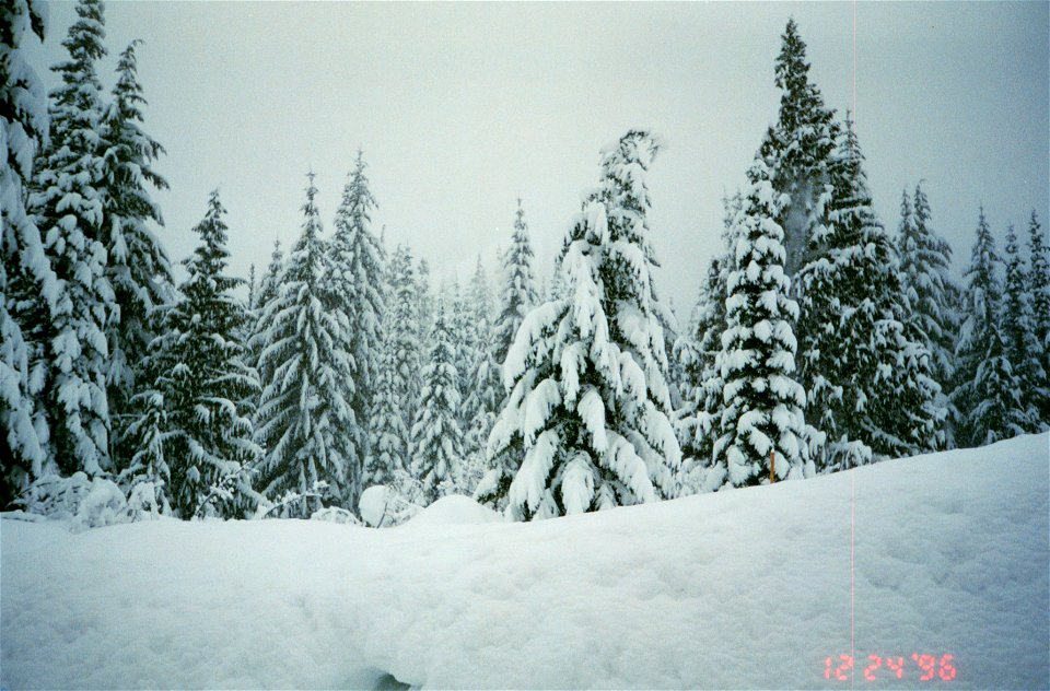 Twice at Snoqualmie Pass in 1996-0022