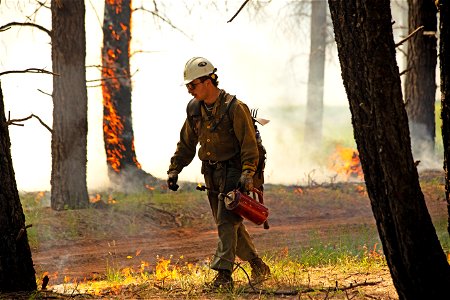 Crater Sinks prescribed fire project photo