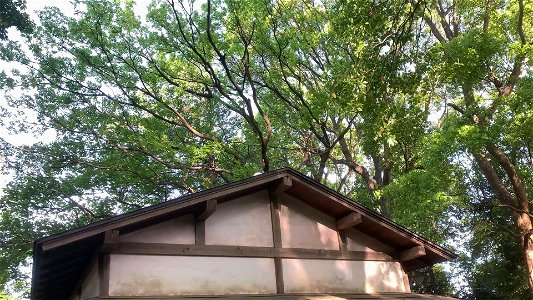 Tetsugakudo Park in Nakano-ku