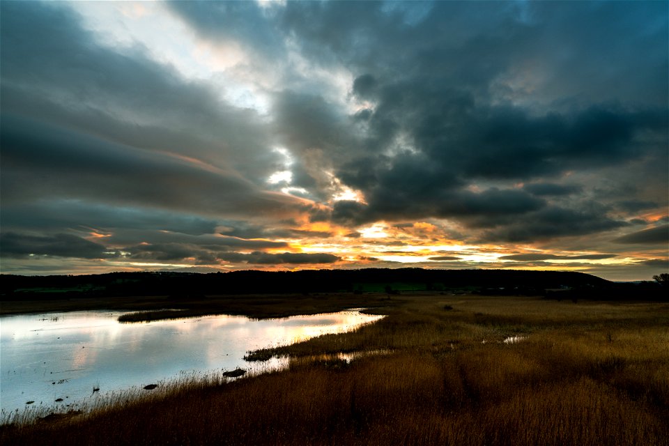 Leighton Moss at Dawn photo