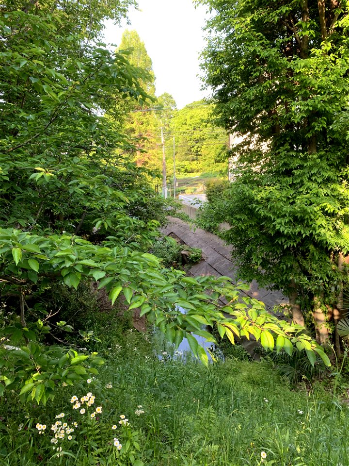 Tateno River in Higashikurume-shi