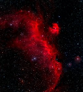 Sh2-292 - Nebula complex (the Seagull Nebula)
