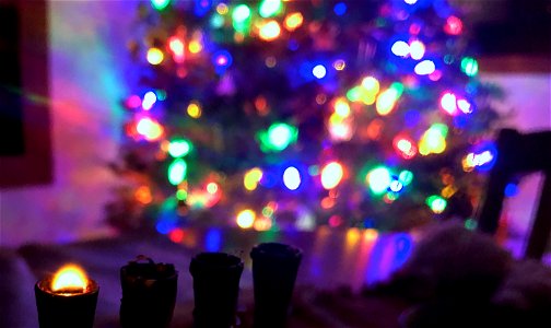 The Last Hanukkah Candle and Full Christmas Tree photo