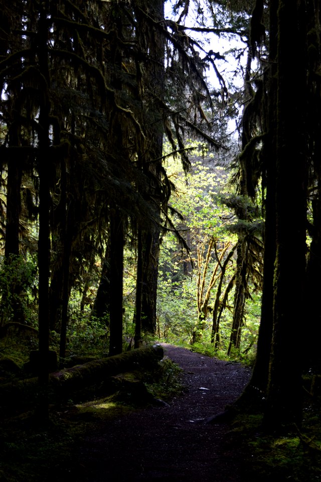 untitled-1224jpg_49364061403_o