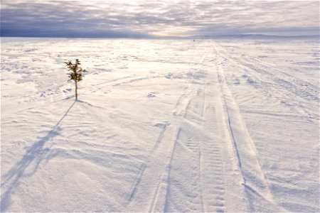 Snowmachine tracks along a winter trail route.