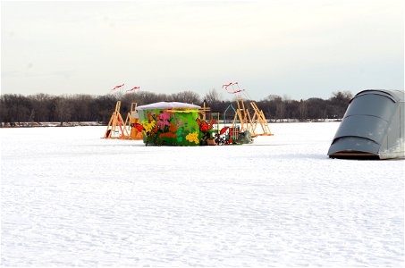 Monarch Butterfly Migration Shanty on Ice photo