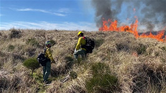 Siuslaw Oregon Dunes Prescribed Burn 2022