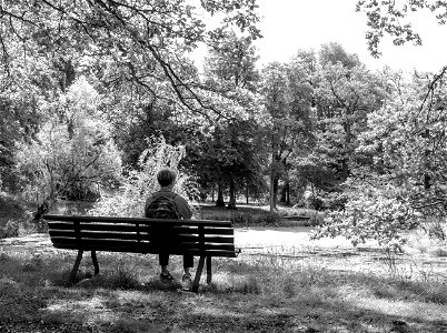 Slottsparken vid Löfsta slott i fullt solsken photo