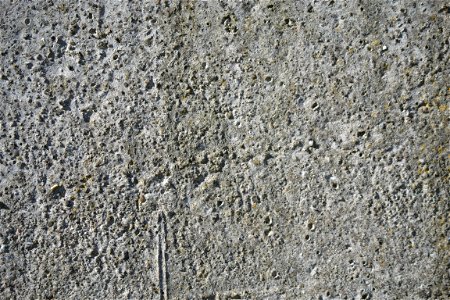 Texture for free photo