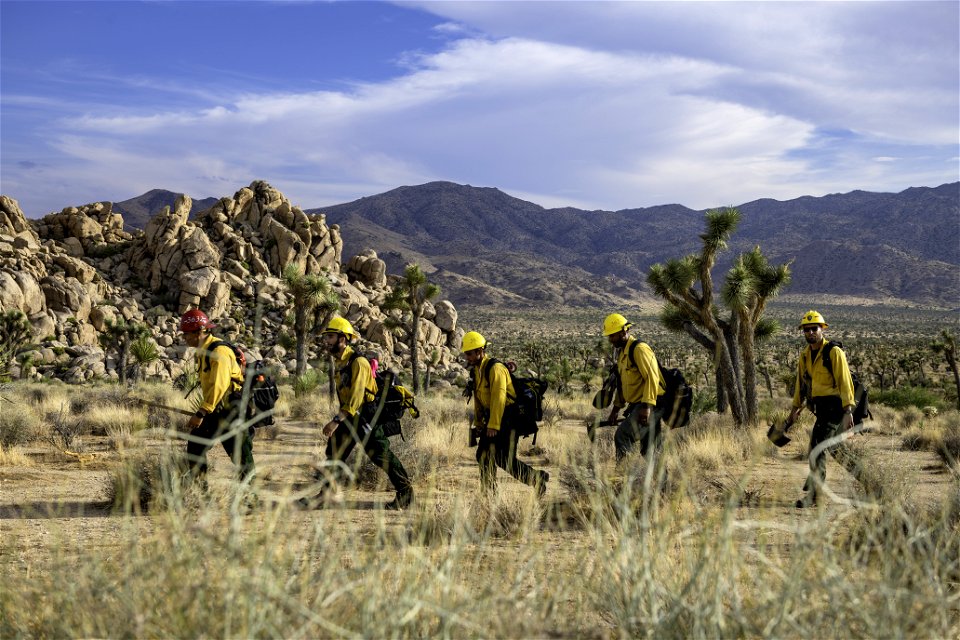 Wildland fire crew patrolling near Quail Mountain