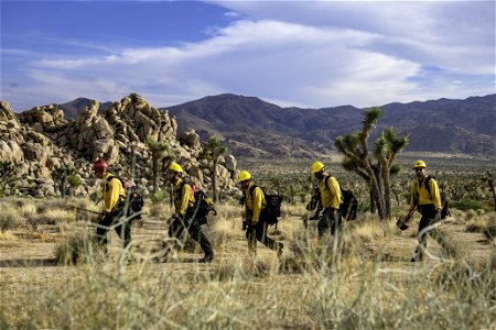 Wildland fire crew patrolling near Quail Mountain