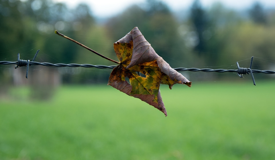 Close up pointed wiring