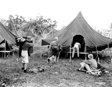 SC 171595-R - First Island Command, New Caledonia. Japanese prisoners moving their bedding into tents at their new camp just completed. 7 January, 1943. photo