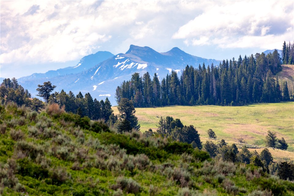 Saddle Mountain and Pollux Peak from Druid Peak hillside