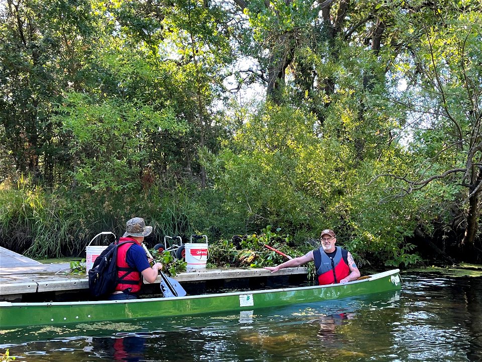 Cosumnes River Preserve Invasive Species Removal