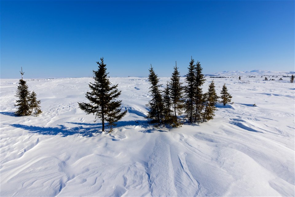 Textures of snow at Selawik National Wildlife Refuge