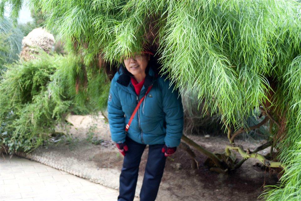 Hantaek Botanical Garden