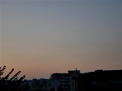 P1010823