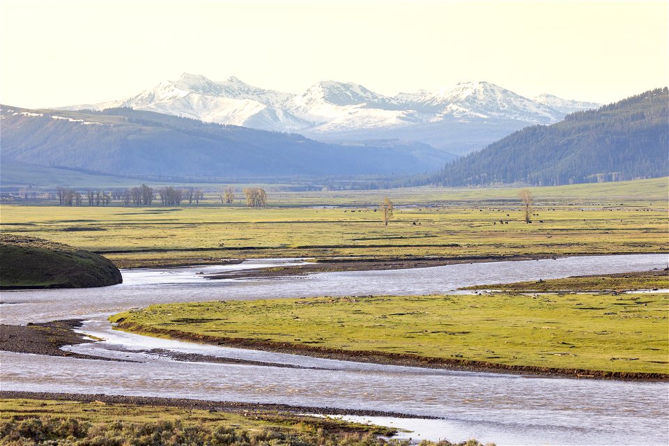 Early Moring in Lamar Valley