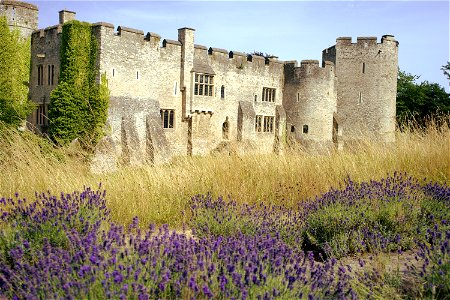 Allington Castle photo