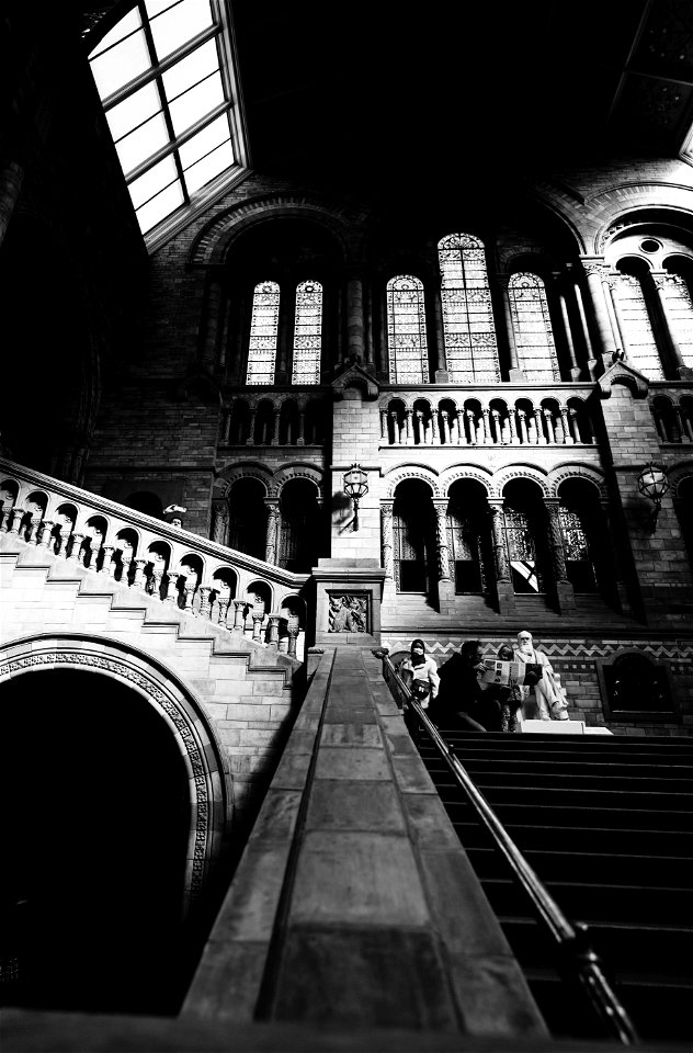 _DSC0362