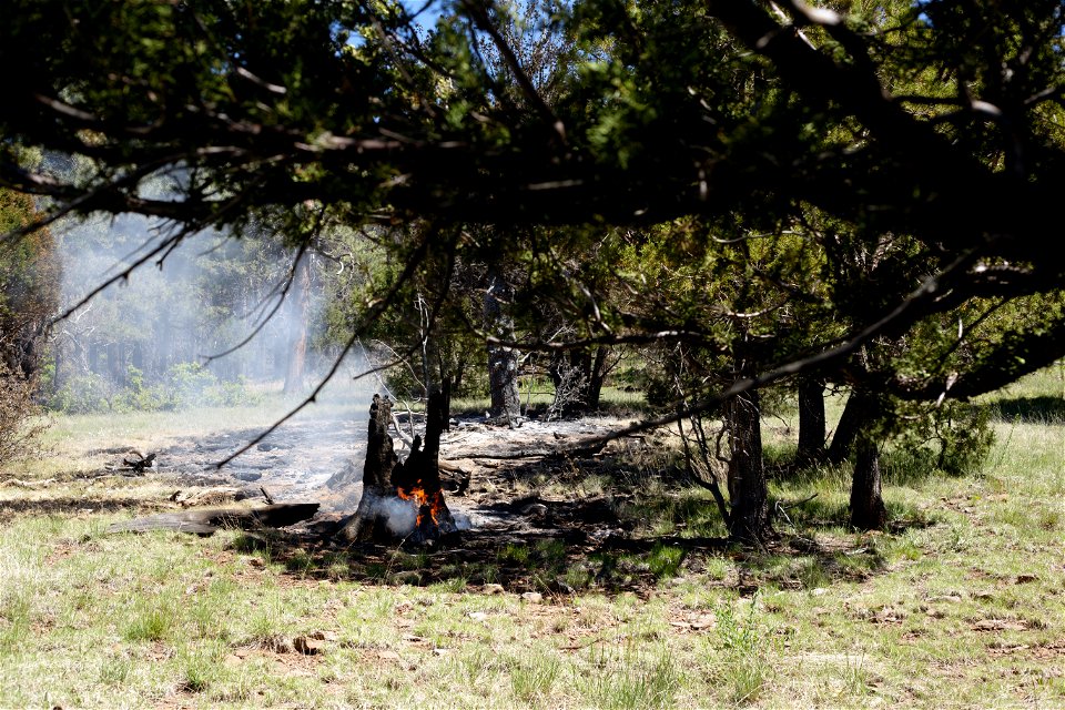 Volunteer Fire