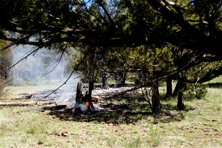 Volunteer Fire photo